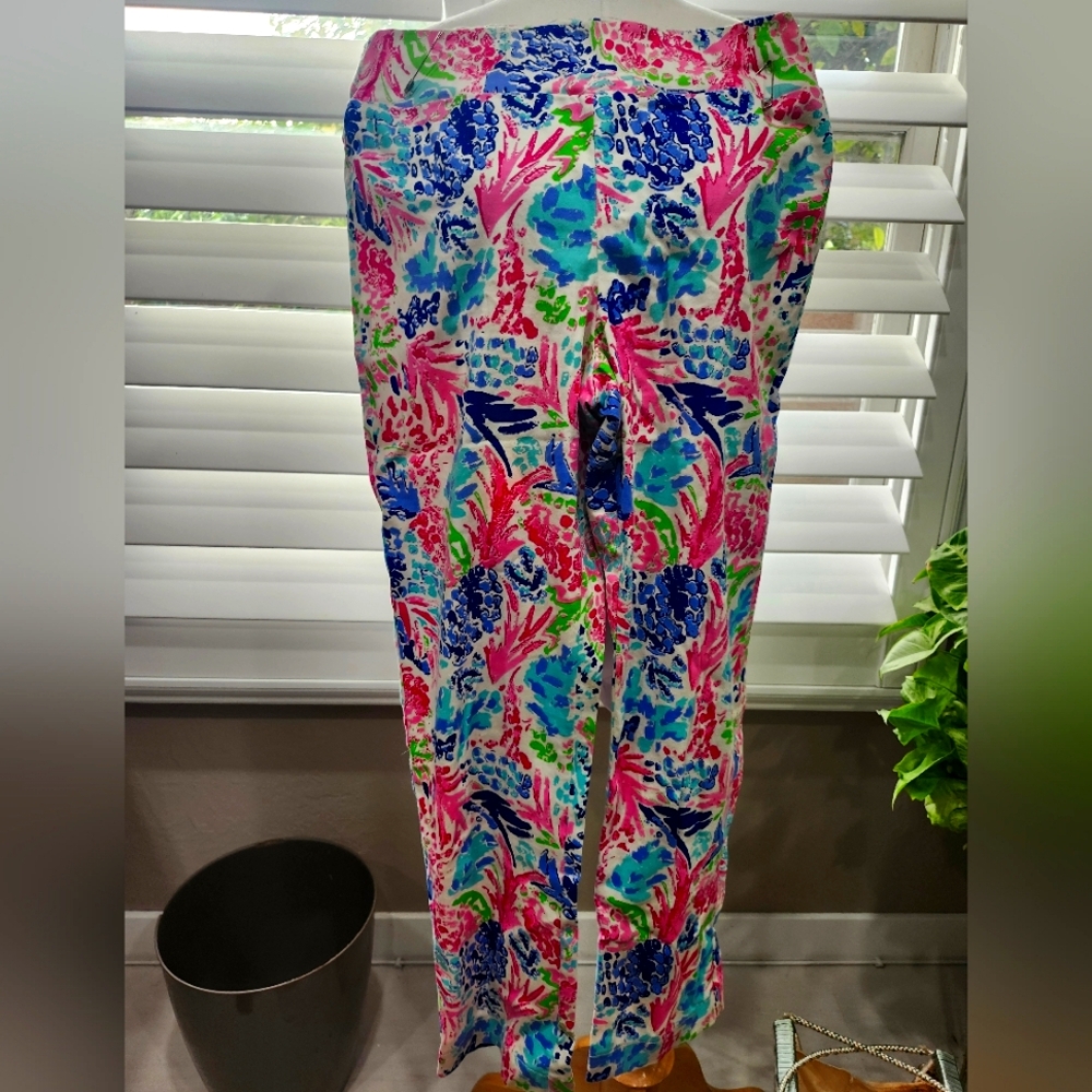 Barbara Erickson Floral Pull On Stretchy Pants Size 10